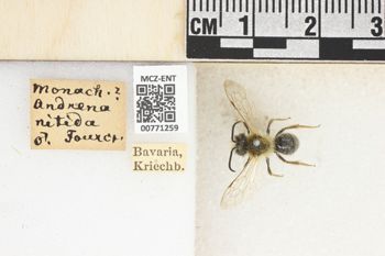 Media type: image;   Entomology 771259 Aspect: Labels